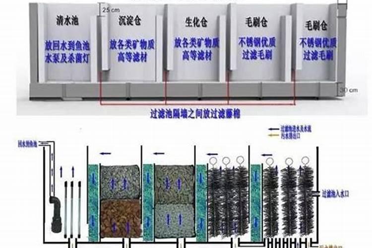 夏季养鱼该如何调节水质？