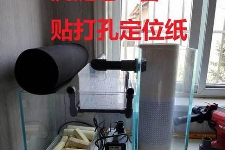 养热带鱼是裸缸好还是草缸好？