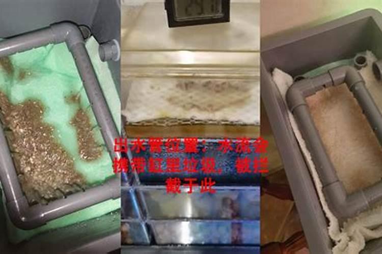 在硝化细菌没有培养出来前,是不是要经常给鱼缸换水？