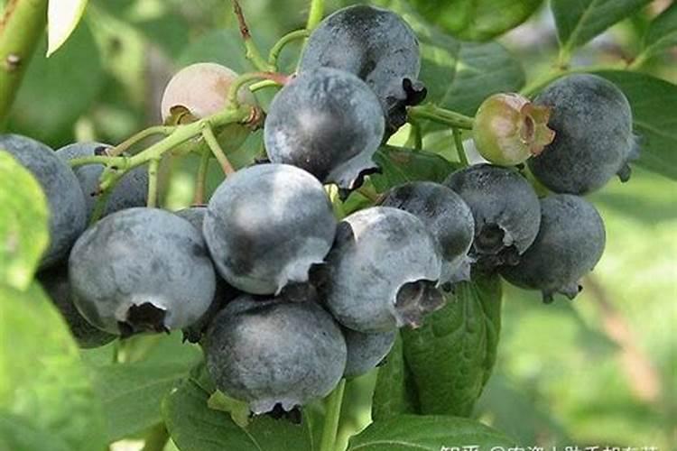 华为入股辉丰的原因