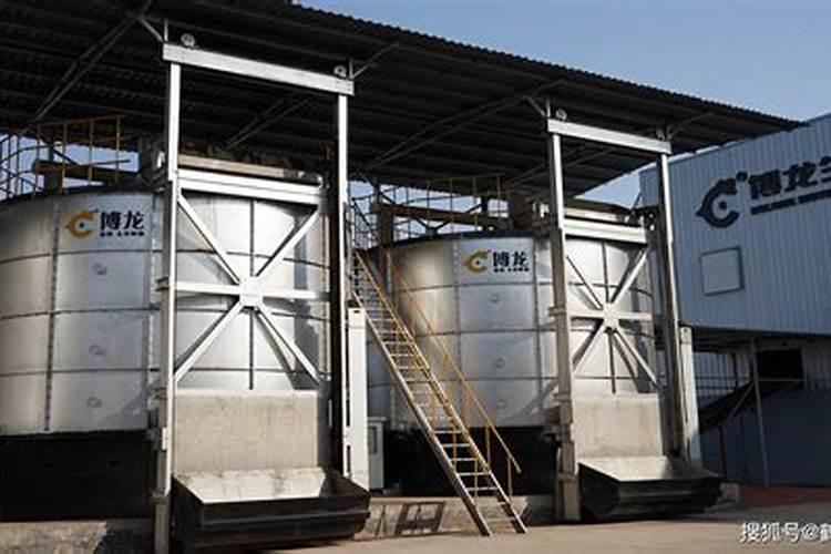 小番茄种下去多久可以施肥