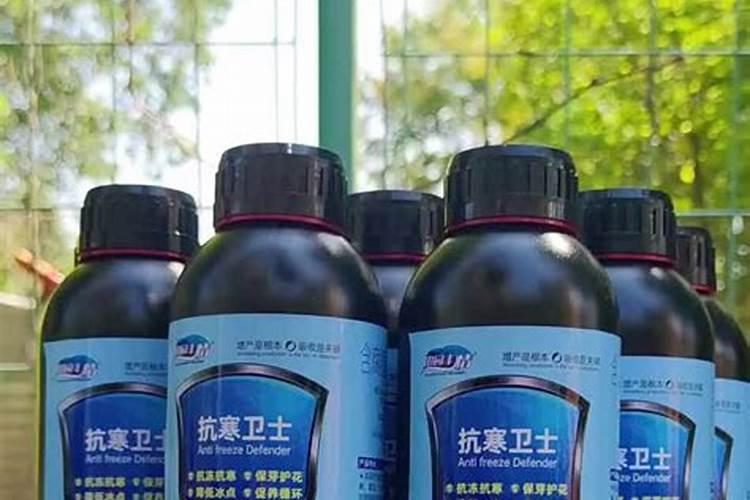 伦晚脐橙树苗多少钱一棵？伦晚脐橙的发展前景