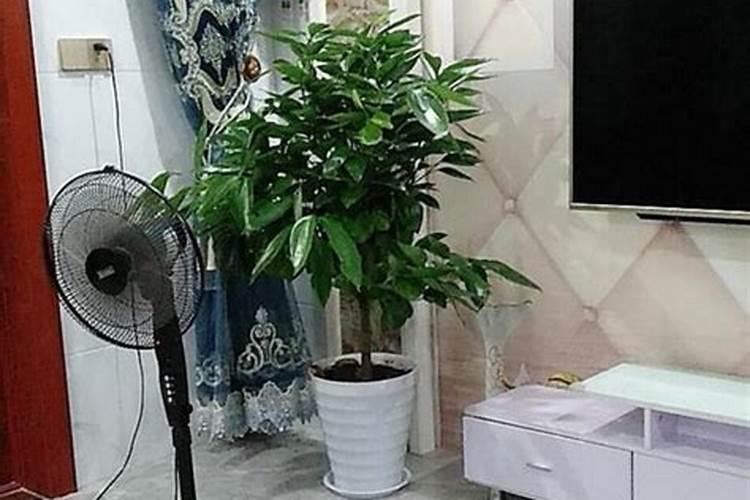 108路公交车都到哪站？