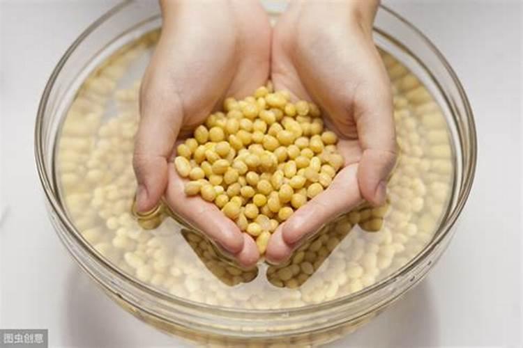 家庭养花最简单的肥料