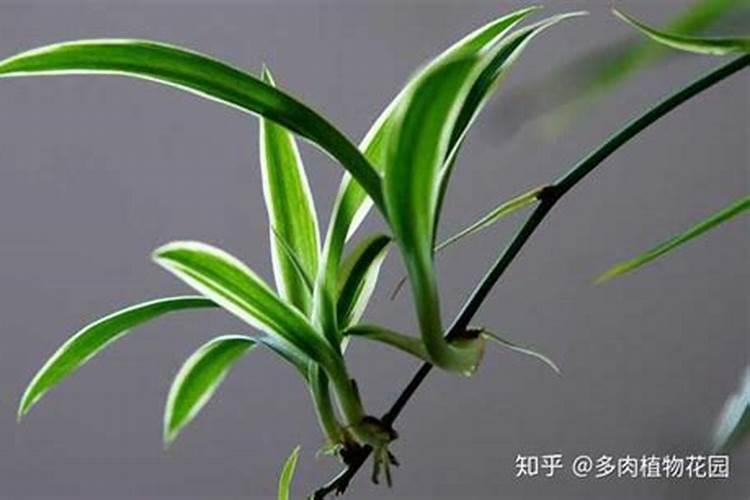恩施市那里有氮气,氧气出租的地方在哪里