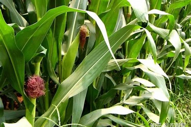 丰都县高新技术企业名单