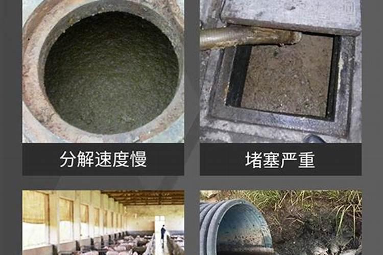 猪化粪池的水可以浇玉米地