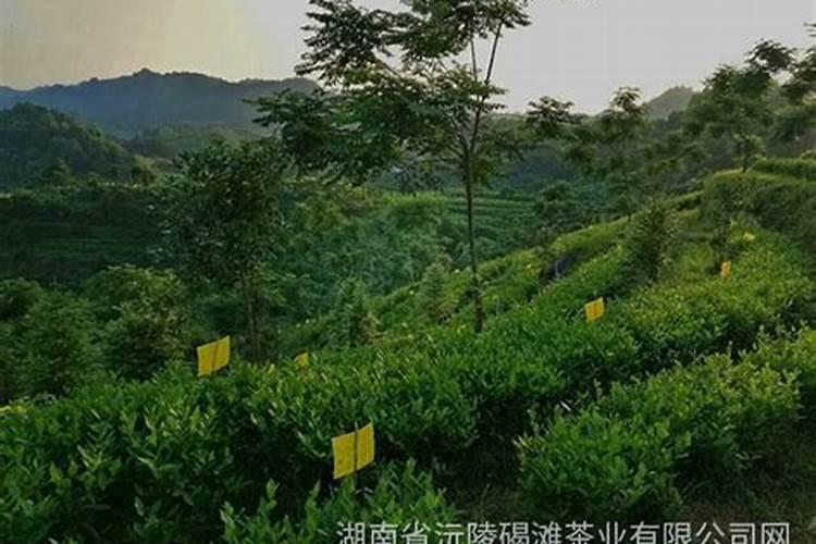 山东百威生物科技有限公司产品