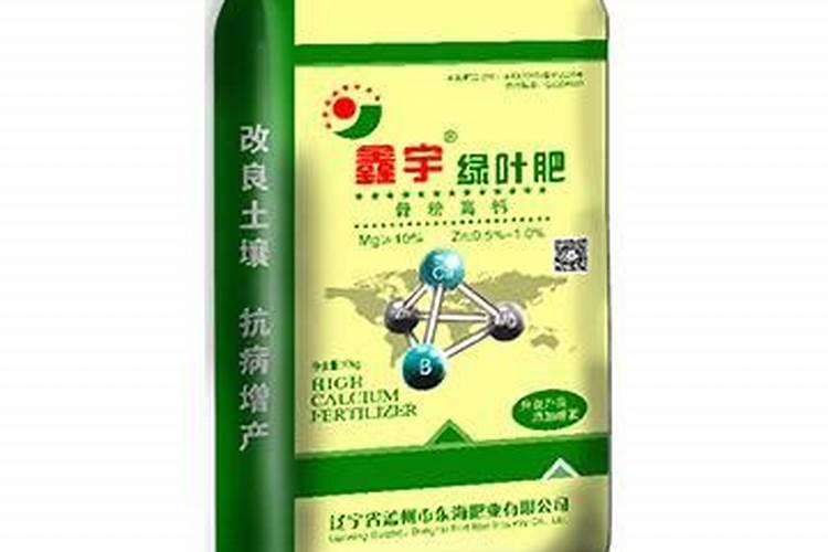 小瓜几月份种植合适