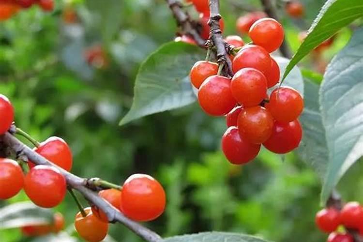 2021年私人办有机肥厂需要多少钱？整套有机肥生产线设备有哪些？