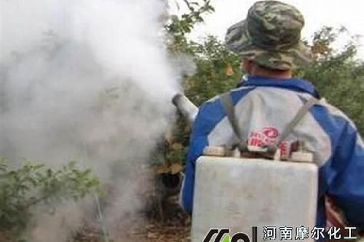 什么样的肥属于氮肥;哪种肥是氮肥