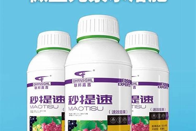葡萄树使用什么肥料能长根