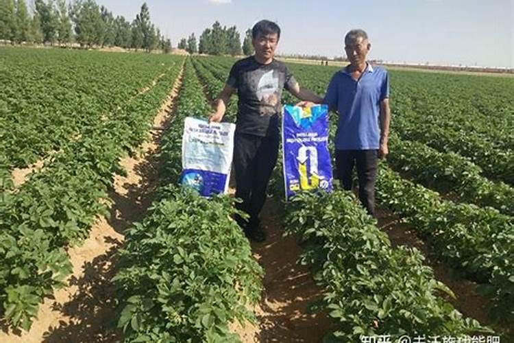 黑龙江省水稻壮秧剂哪个品种最好