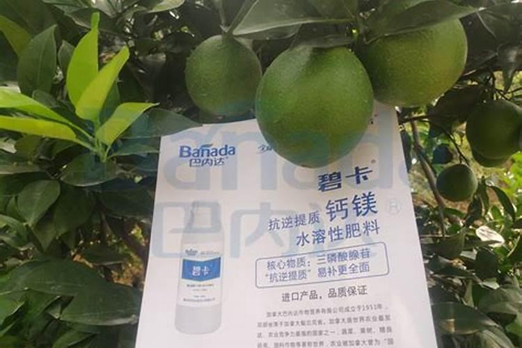 阳光葡萄能便用钙镁硼锌铁叶面肥加望揪叶面肥能混合使用吗？