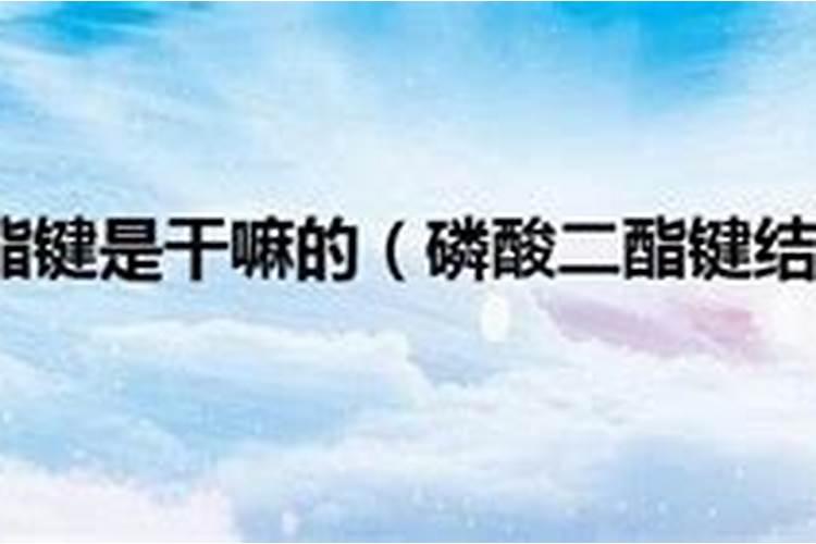 磷肥有哪些？磷肥作用是什么？