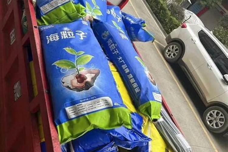 揭秘:海藻有机肥到底好不好？