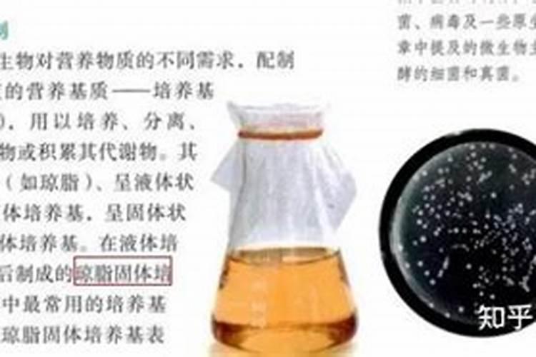 天然培养基和合成培养基有什么区别 天然培养基好还是合成培养基好