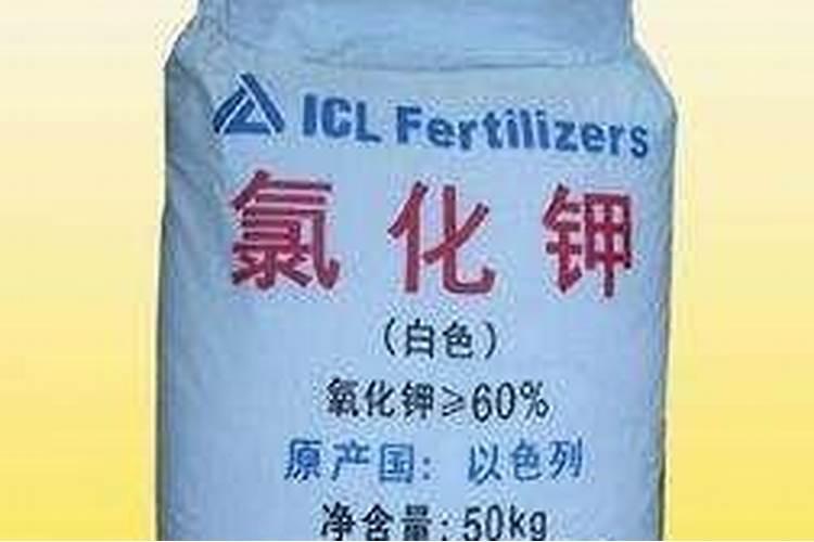 生姜能使用含氯的肥料吗(大姜能用含氯的复合肥吗)