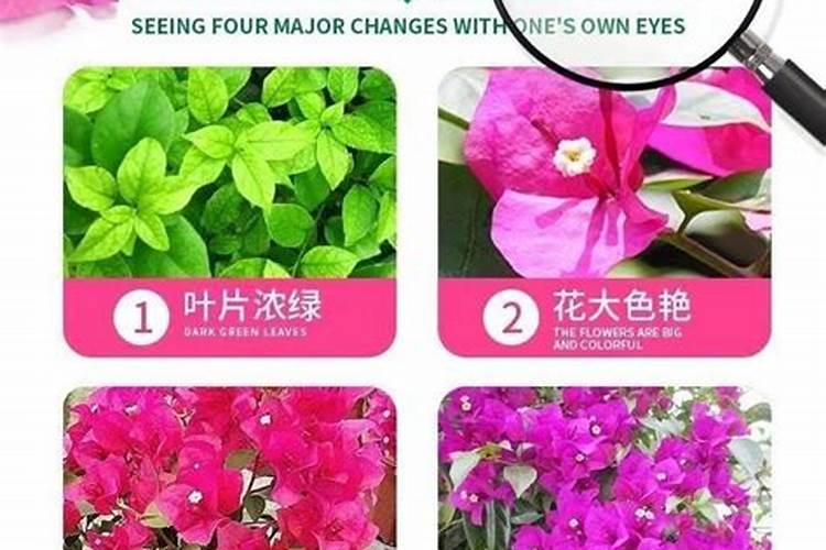 复合肥有几种生产工艺,各工艺作用