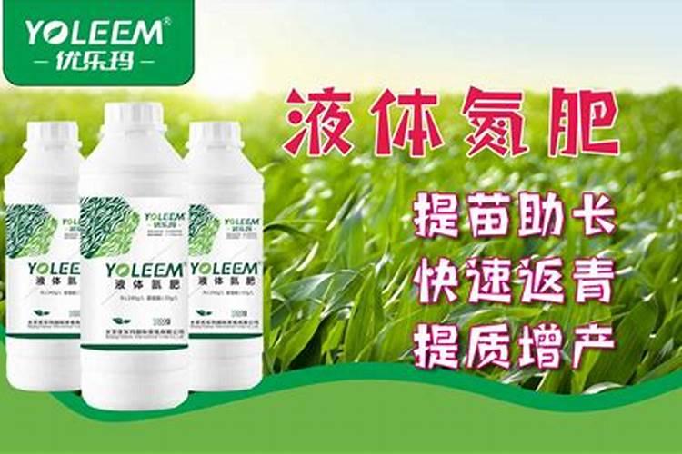 中国第一颗原子铀矿在哪