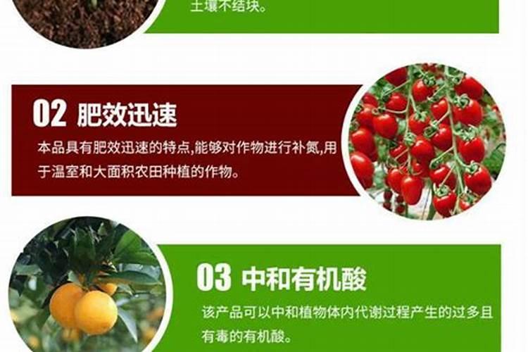 大棚番茄最全冬季施肥方案
