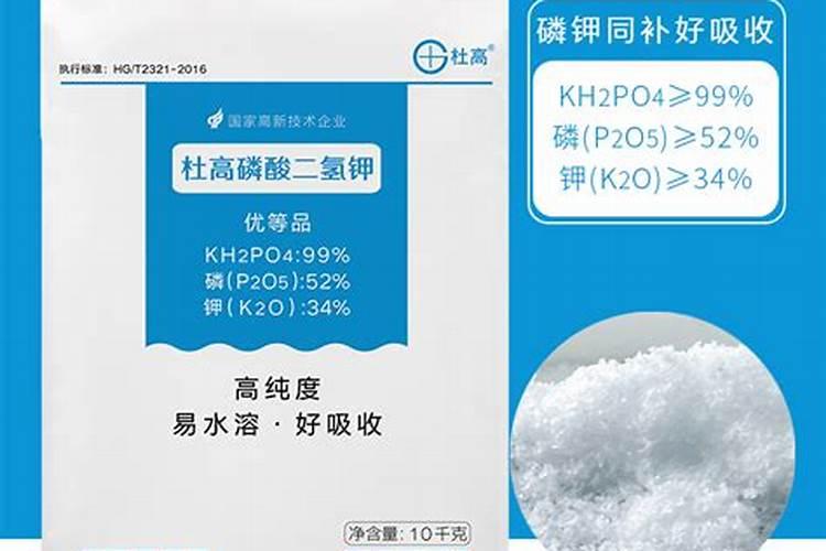 栀子花叶子为什么会发黄(栀子花长出来新叶变黄怎么回事)