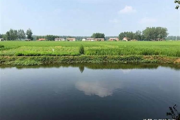 水产养殖户应该如何做好水体的藻菌调控工作？