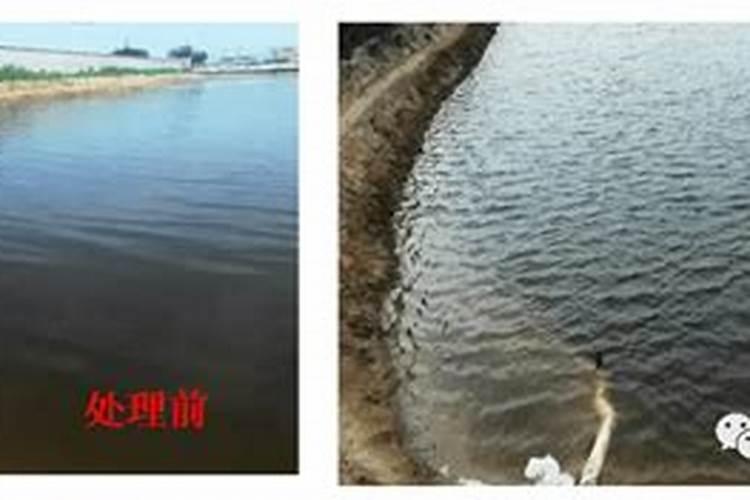 对虾养殖知识:肥水有什么好处？