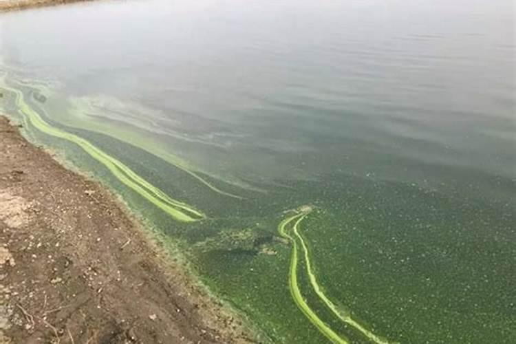 南美白对虾养殖水ph值变化不大什么原因？