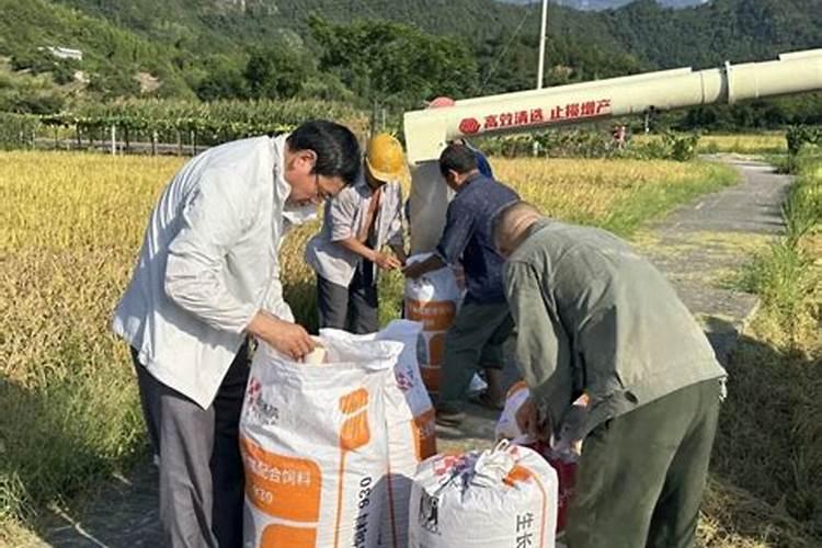 水稻施肥方法和用量水稻施肥方法是什么用量多少