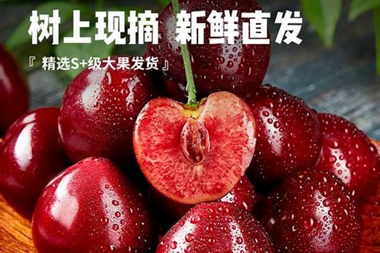 盆栽车厘子施什么肥最好