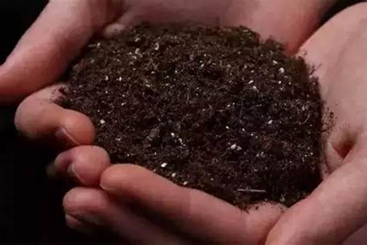 土壤酸化用什么药