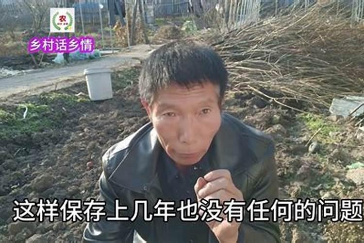 标题+10、什么叫水冲施？它有何优缺点？