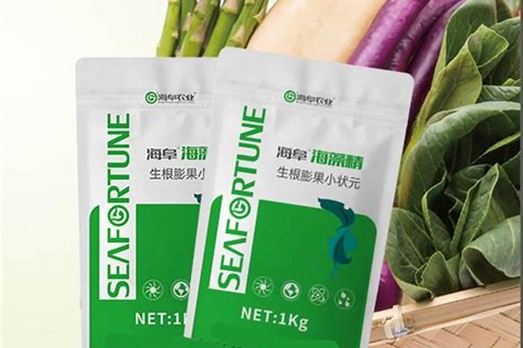 鱼蛋白和海藻精哪种好