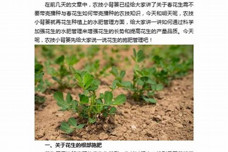 过期花生油千万别扔11种用途