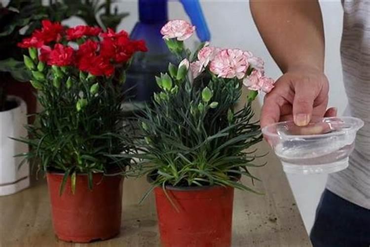 ZD2自动电位滴定仪雷磁