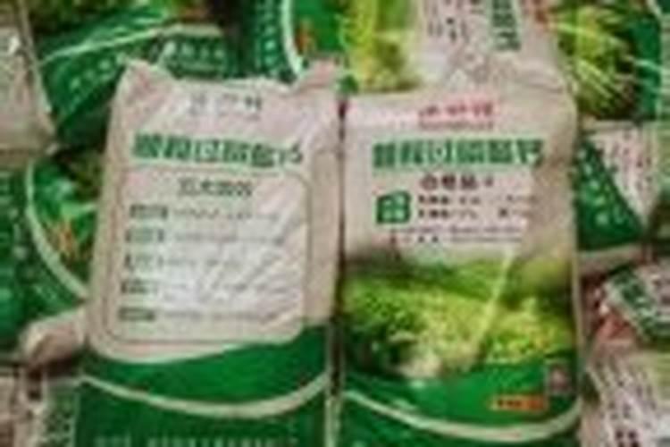 君子兰开花时能施肥吗