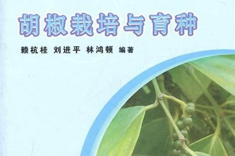 胡椒木怎么施肥