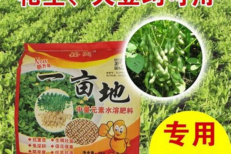 使用什么肥,水稻不倒伏