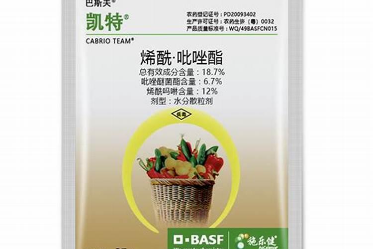 茄子枯萎病特效药