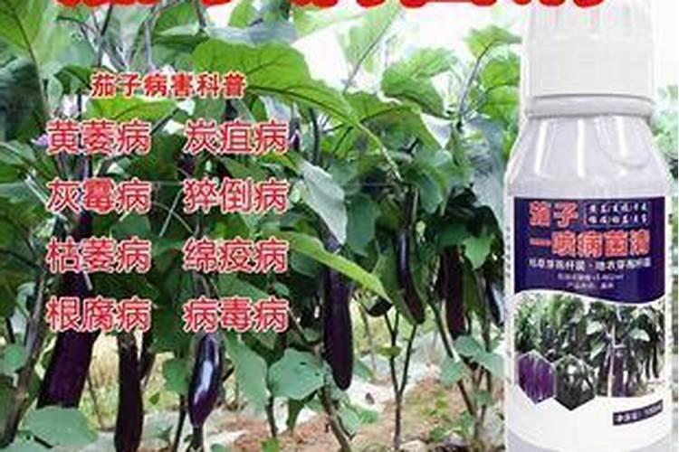 请问那种杀菌剂对烂根病最好？茄子枯黄萎是烂根病吗？