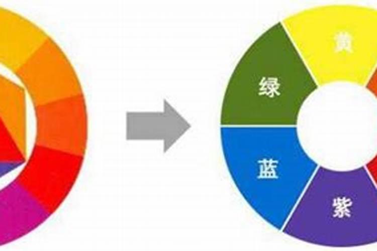 你好,烦劳回答下,一般成熟的送礼用君子兰精品,大株大概多少钱,一...