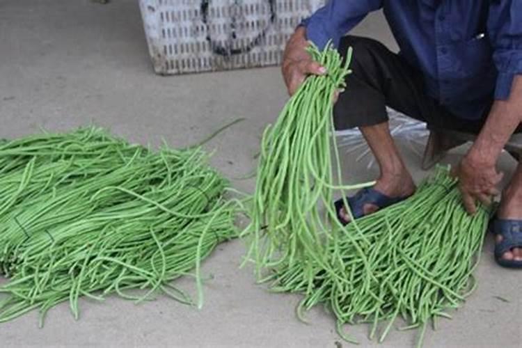 果树保花保果喷什么叶面肥结果多？果树膨果期用什么复合肥好？