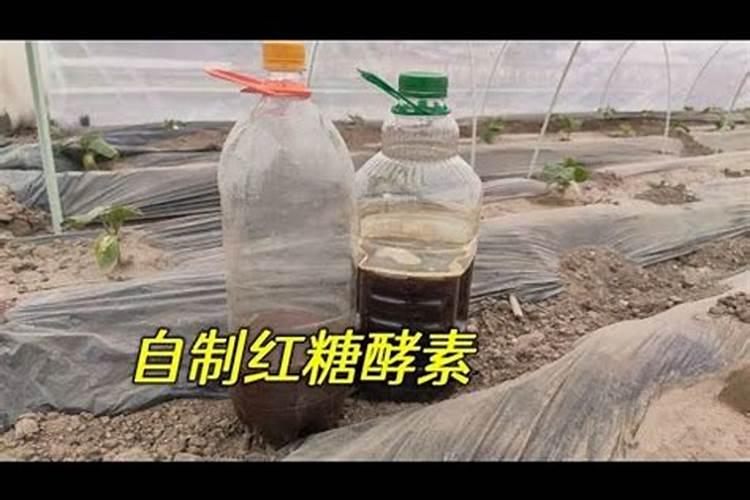 红糖做叶面肥的配方