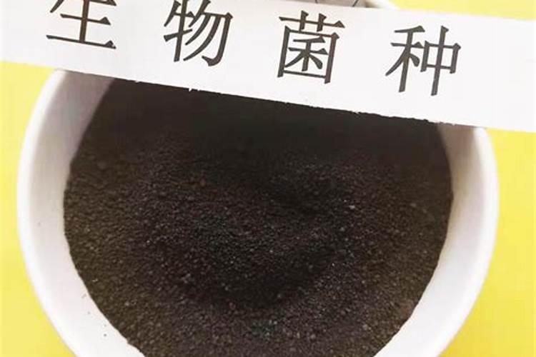 大姜用什么肥料最好