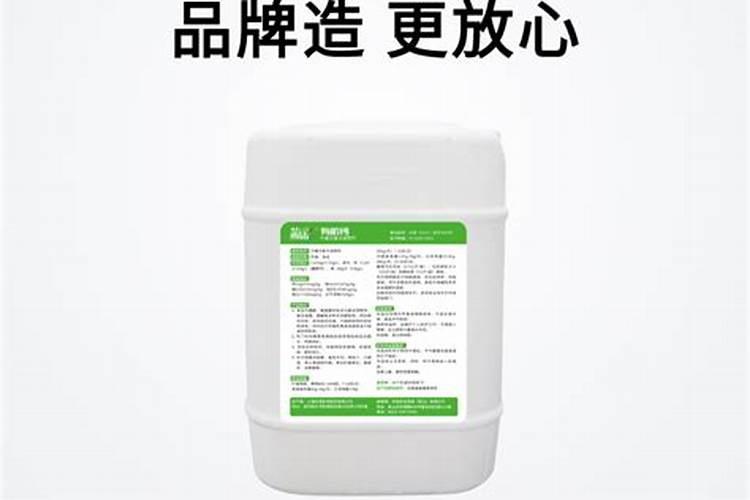 桉树需要施肥吗？
