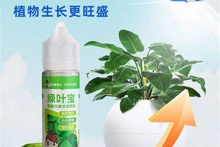 玉叶子适合什么人带？有哪些吉祥的寓意？