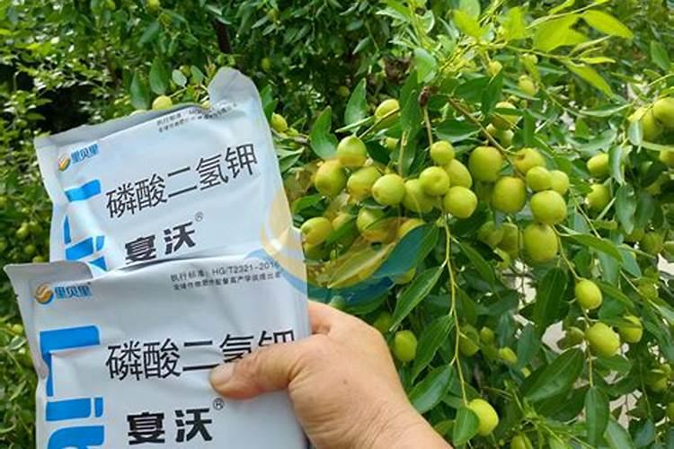 在柠檬树开花的时候,可以用磷酸二氢钾做肥料吗？