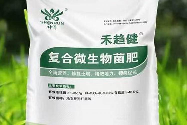 碳铵肥施白菜追肥可以吗