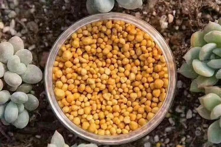 谁说有机肥不能作追肥,不这么用等著后悔吧